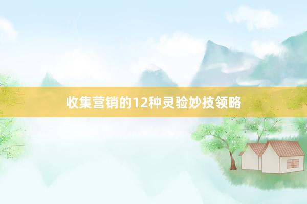 收集营销的12种灵验妙技领略