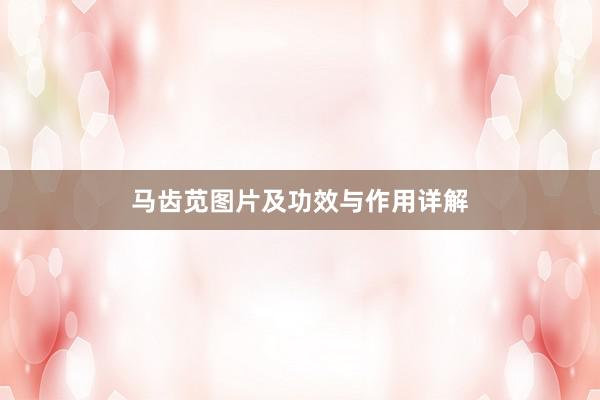 马齿苋图片及功效与作用详解