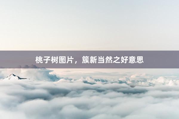 桃子树图片，簇新当然之好意思